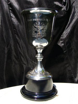 The Pegasus Cup